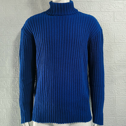 Turtleneck Solid Color Slim Fit Knit Sweater