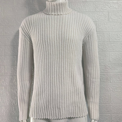 Turtleneck Solid Color Slim Fit Knit Sweater