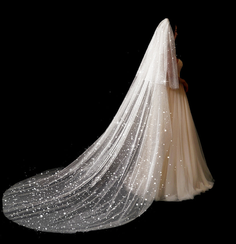 Bridal Wedding Dress Long Tail Luxury Super Fairy Wedding Veil