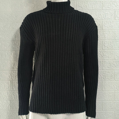 Turtleneck Solid Color Slim Fit Knit Sweater