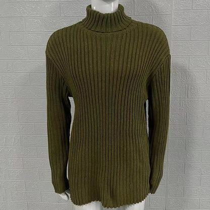 Turtleneck Solid Color Slim Fit Knit Sweater