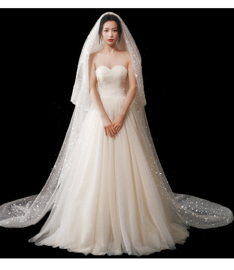 Bridal Wedding Dress Long Tail Luxury Super Fairy Wedding Veil